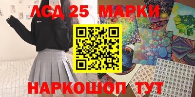 шишки Заволжье