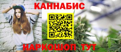 шишки Заволжье