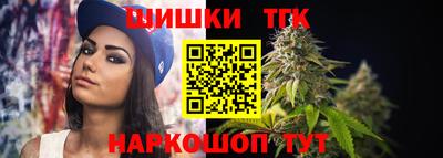 apvp Заводоуковск