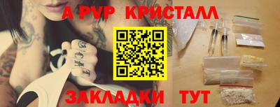 шишки Заволжье